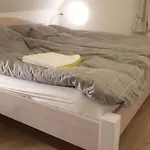 弗左韦杰公寓 * 加斯庭