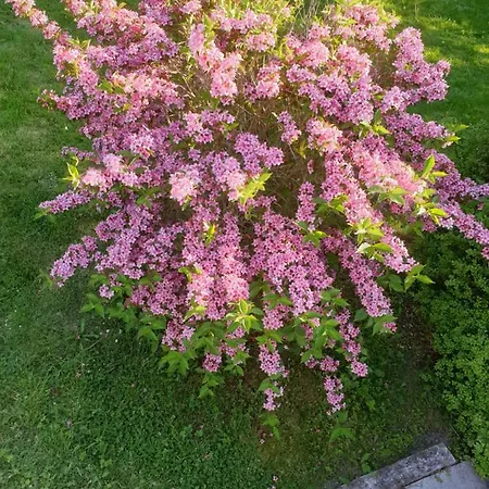 Fjordvejen Appartement *